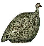 Guinea Fowl - Pintade<br>Black Speckled Anis Green